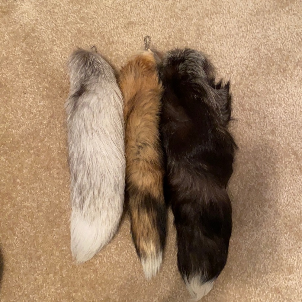 Genuine Fox Tail Keychains (Set of 3)